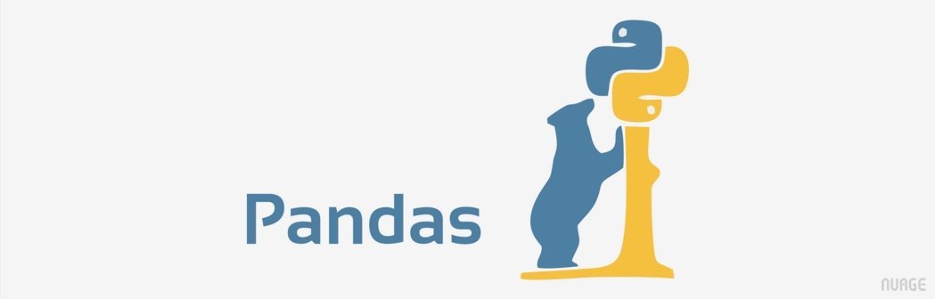Pandas with Python